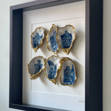 Amsterdamse huisjes 35x35cm - Ingelijste oesters- plexiglas schilderij - kunst