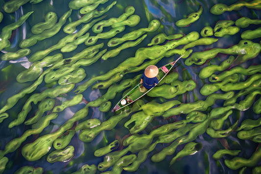 Vietnamese Fisherman- plexiglas schilderij - kunst